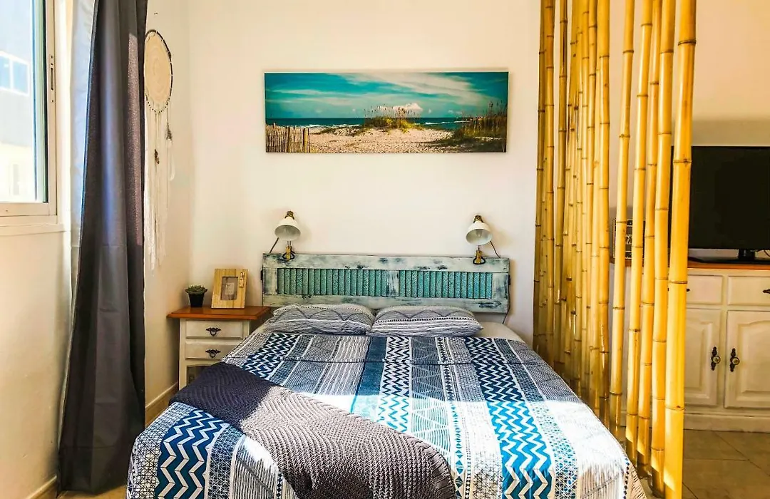 Aloe Studio-1