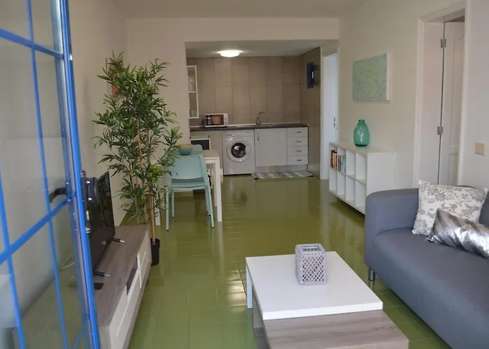 Vv Apartamento Luminoso 11ºa Caleta De Fuste che accetta animali