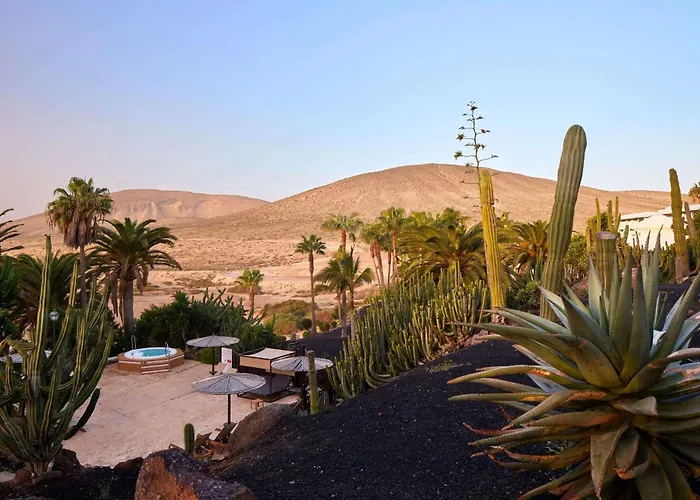 Hotels met jacuzzi in Costa Calma